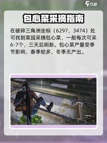 七日世界包心菜🔥生存游戏玩家必备植物大揭秘！截图3
