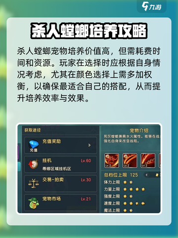 魔力宝贝复兴🔥杀人螳螂超详细评测来啦！截图4