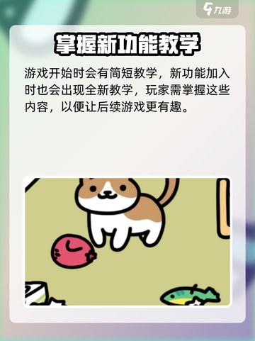 猫咪后院2什么时候上线介绍截图4