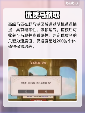 🔥《火山的女儿》赛马夺冠秘籍🐎截图3