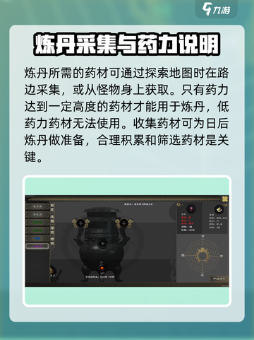 剑雨如歌🔥新手快速炼丹秘籍分享！截图5