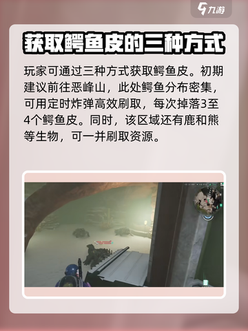七日世界沙滩鳄鱼皮怎么获取介绍截图2
