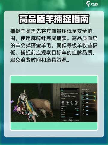 七日世界金羊毛获取攻略介绍截图4