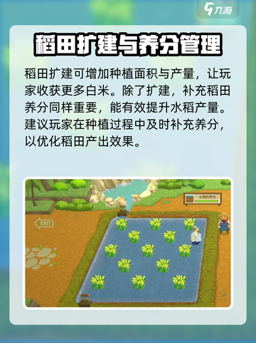 潜水员戴夫白米获取攻略💎带你快速上手！截图3