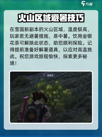 七日世界金银花在哪里介绍截图4