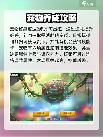 万龙觉醒宠物攻略分享介绍截图4