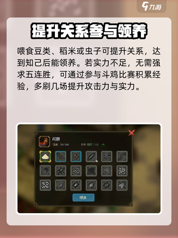 《大侠立志传》斗鸡玩法🔥超详细攻略来啦！截图4