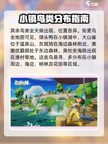 心动小镇观鸟秘籍🌟超全技巧分享！🔗截图4