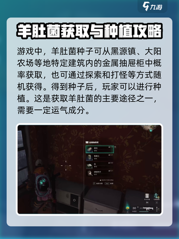 七日世界羊肚菌有什么用介绍截图2