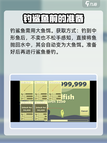 小猫钓鱼💡钓鲨鱼超简单方法分享！游戏技巧大公开✨截图2