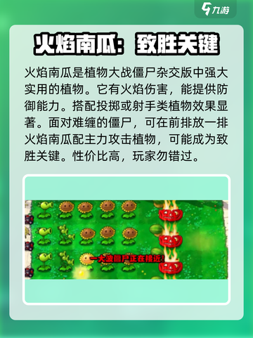 植物大战僵尸🔥杂交版火焰南瓜超厉害🎉截图4