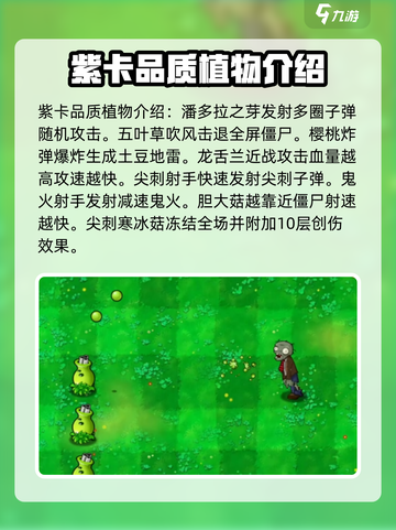 植物大战僵尸抽卡版🔥全植物卡片大揭秘！截图3