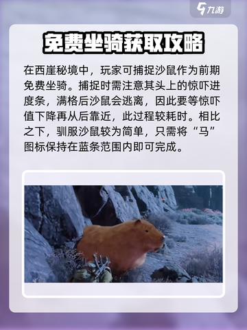 破碎之地🔥萌新必看！开局一把刀，装备全靠打！截图5