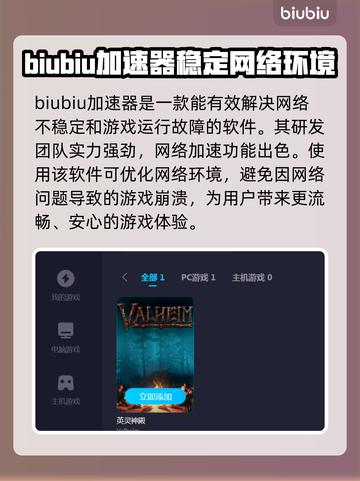 英灵神殿报错闪退？加速器搞定它！⚡🎮截图4