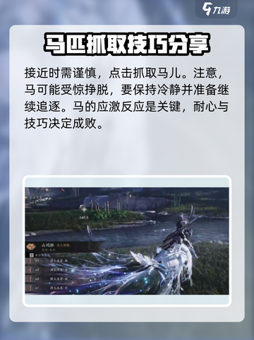 燕云十六声马怎么抓介绍截图5