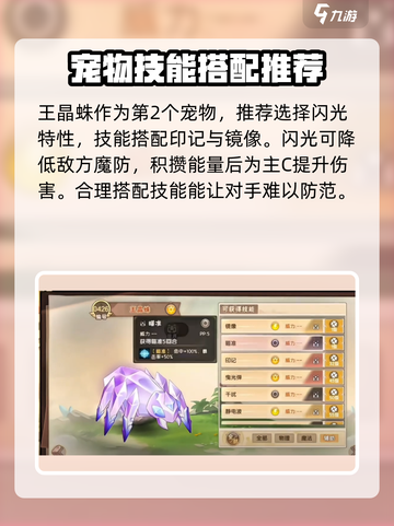 西普大陆手游🔥王晶蛛超详细解析来啦！截图3