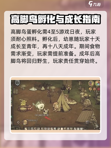 饥荒联机版高脚鸟蛋怎么孵化介绍截图5