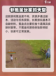 剑灵2手游⚡不氪金能玩吗？真相揭秘！截图2