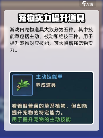 魔力宝贝复兴版🔥宠物道具大全来了！快收藏✅截图2