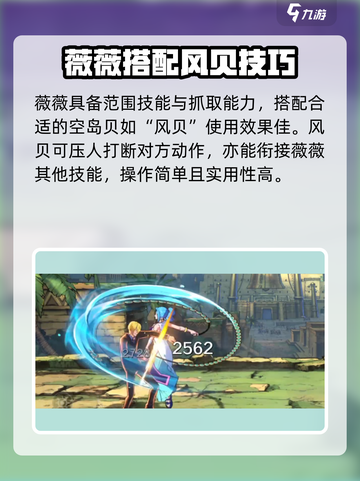 航海王壮志雄心薇薇教学介绍截图5