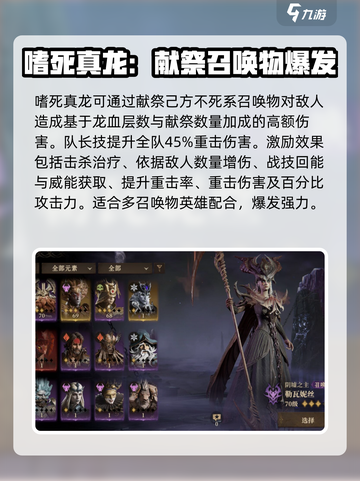 龙息神寂黑龙怎么样介绍截图3