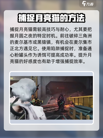 七日世界月亮猫获取方式介绍介绍截图3