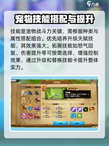 万龙觉醒🔥宠物培养秘籍，快速养成完美战宠！截图4