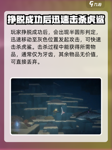 潜水员戴夫虎鲨在哪介绍截图4