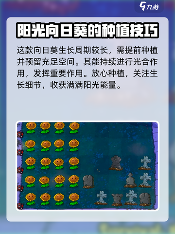 植物大战僵尸之阳光向日葵🔥超好玩/Game必备🌱截图4