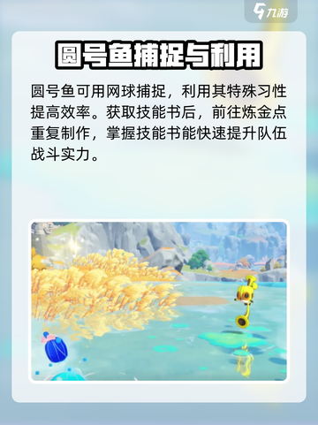 洛克王国世界圆号鱼如何获取介绍截图4
