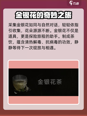七日世界金银花位置大揭秘！🌸截图3