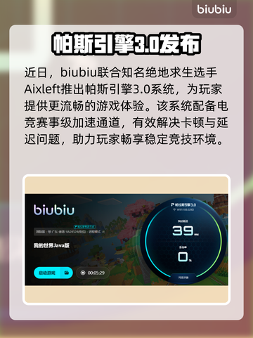 🎮我的世界Java版加速器大揭秘！截图5