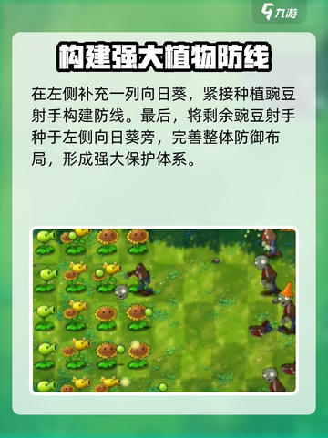 植物大战僵尸融合版🔥第一关攻略来了！快玩🔥截图4