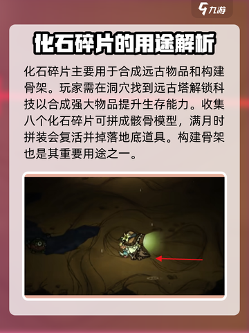 饥荒联机版🔥化石碎片大揭秘！💡截图2