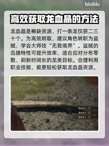 《龙之信条2》🔥龙血晶速刷秘籍💎截图2