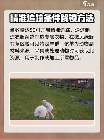 无限暖暖长袜羊毛采集🔥游戏秘籍大公开！截图4