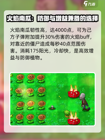 植物大战僵尸🔥火焰南瓜震撼登场！🔥截图2