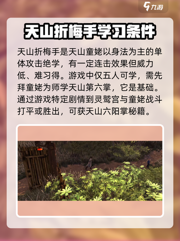 侠客风云传前传天山折梅手获得方法介绍截图2