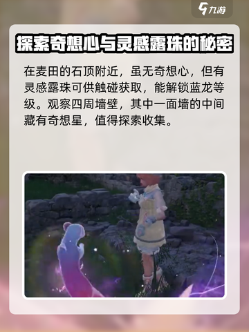 无限暖暖石树田无人区在哪介绍截图5