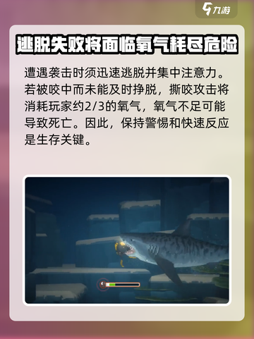 潜水员戴夫虎鲨在哪介绍截图3