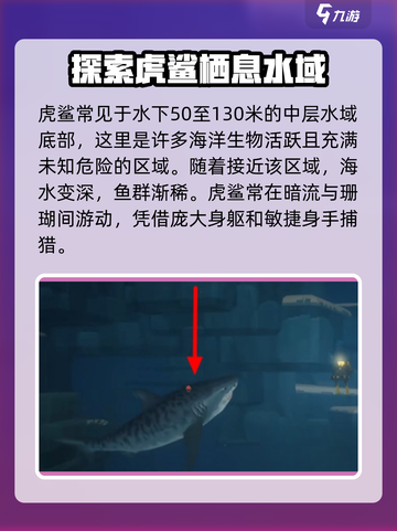 潜水员戴夫🔥虎鲨打法攻略来了！快看👇截图2