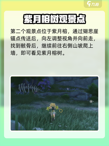 鸣潮🔥无光森林观景点位置大曝光！快来看看✨截图3