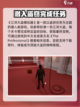 江洋大盗模拟器英文名是什么介绍截图2
