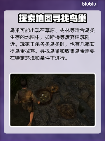 战国王朝🔥快速获取鸟蛋方式大揭秘！👇截图3