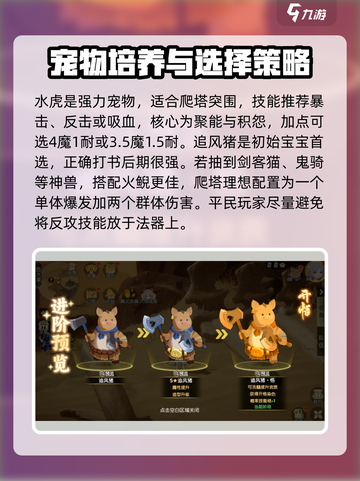 离火之境🔥宠物系统玩法大全，不看后悔！截图3