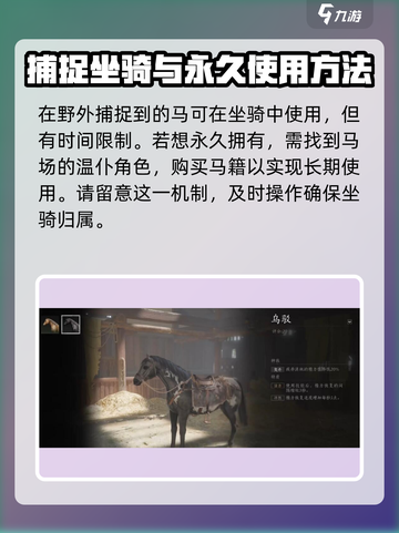 燕云十六声坐骑怎么获取介绍截图4