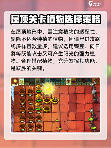 植物大战僵尸屋顶花园🔥技巧大全，玩法规则一网打尽！游戏技巧分享💡截图3