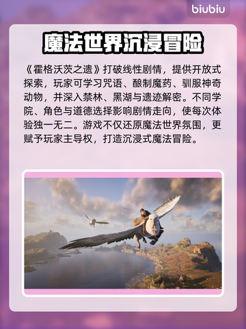 🎮霍格沃兹之遗掉帧卡顿？加速器推荐🔥截图2