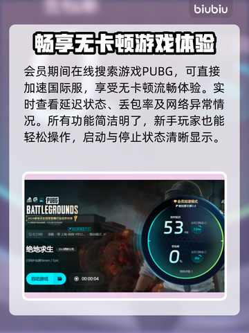 PUBG国际服🔥加速器推荐下载分享截图5