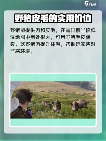七日世界野猪在哪获取介绍截图5